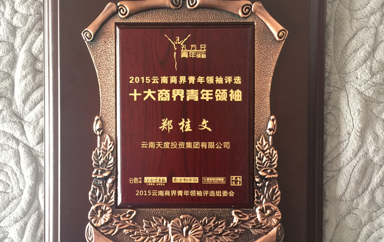 在“互联网大时代”的背景下，BG大游作为本土很大和很有名的互联网服务企业，为近万家传统企业转型互联网+提供了服务和帮助，获此奖项后，BG大游(中国)唯一官方网站将再接再厉，创造更高的社会价值
